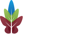 Ingignis Academy Trust